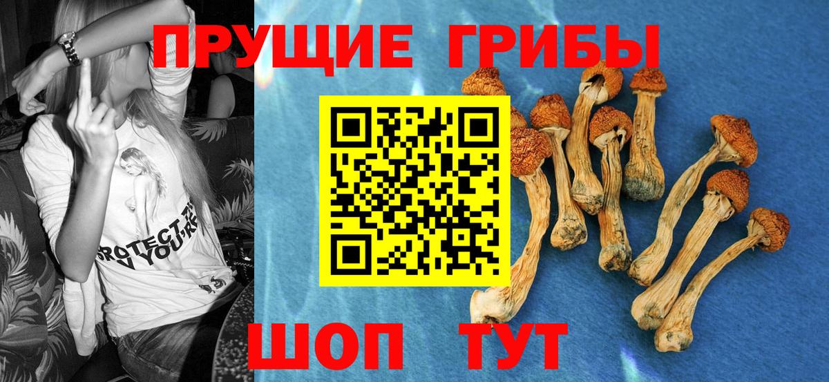 Псилоцибиновые грибы MAGIC MUSHROOMS  Вход с VPN  Архангельск 